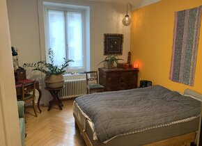 Beautiful, fully furnished apartment in Zurich Wipkingen...