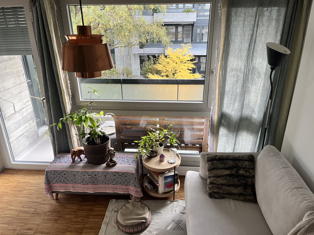 Cozy 1.5 Zimmerwohnung mit Balkon