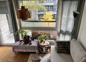 Cozy 1.5 Zimmerwohnung mit Balkon