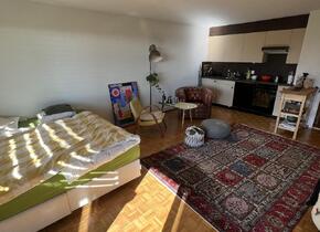 Cozy flat in Rapperswil/Jona 1 room studio with mountain...