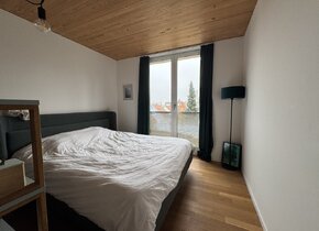 Untervermietung 3,5 Zimmer Wohnung vom 21.12.24 - 15.03.2025