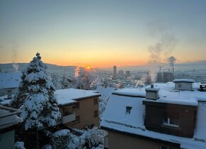 Winter Dream in Zurich (furnished, for 2 months)"