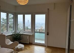 Winter Dream in Zurich (furnished, for 2 months)"