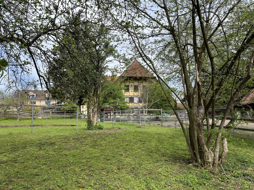 Grosszügige 3.5-Zimmer Altbauwohnung, 105m2,...