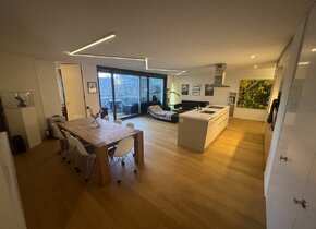 Large and modern shared apartment in Kreis 5