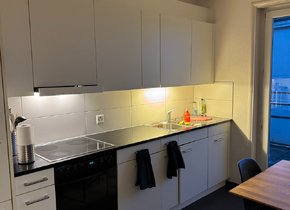 Helle 2 ½ Zimmer-Wohnung in Zürich mieten