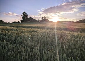 Natur pur: Wunderschöne, gemütliche Wohnung in...