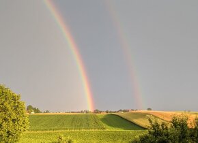 Natur pur: Wunderschöne, gemütliche Wohnung in...