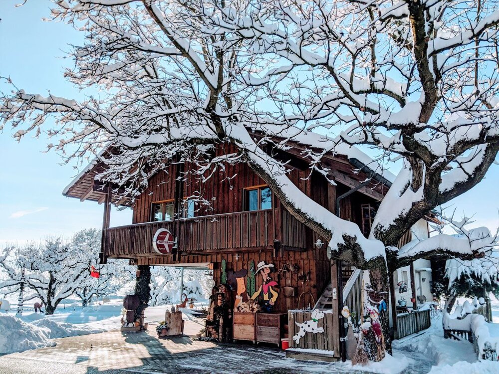 Natur pur: Wunderschöne, gemütliche Wohnung in...