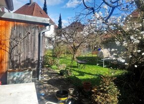 WG-Zimmer frei in Haus mit Garten