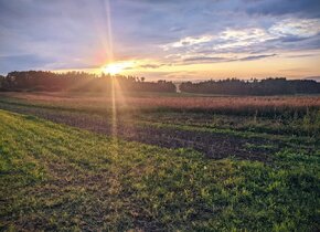 Naturnaher Wohntraum über die Wintermonate