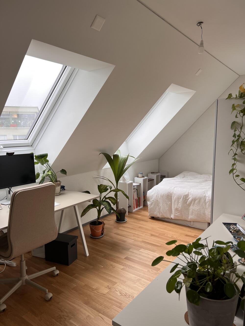 Room for Rent in Zurich (Wiedikon) – Modern, Bright,...