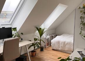 Room for Rent in Zurich (Wiedikon) – Modern, Bright,...