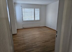 4 Zi-Wohnung EG mit Garten / Höngg ab sofort / Auch WG...