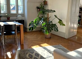 Schönes WG-Zimmer in Altbauwohnung