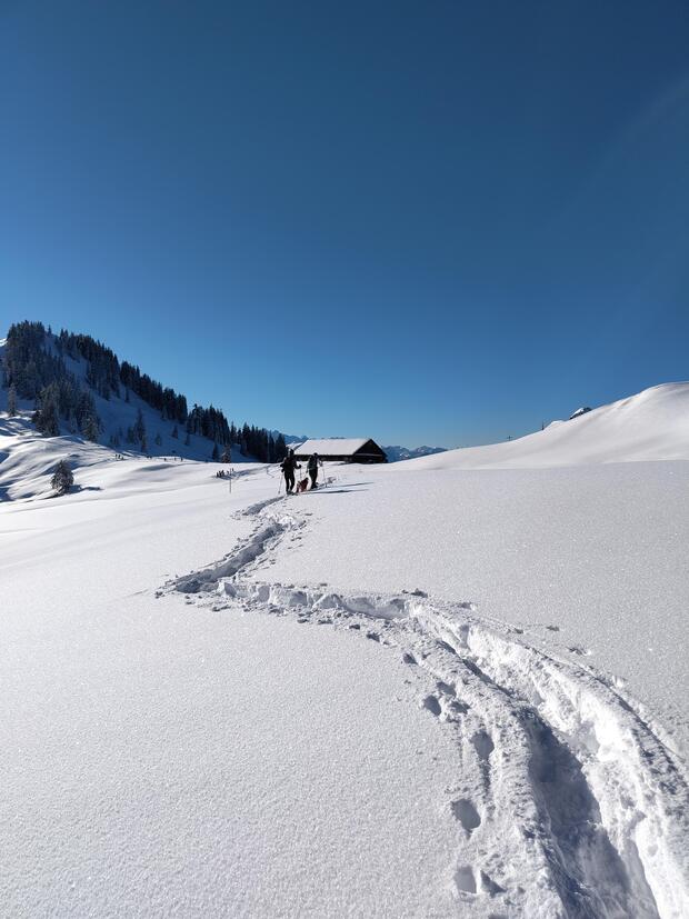 recharge: Winterauszeit mit Yoga und Schneeschuhwandern