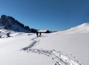 recharge: Winterauszeit mit Yoga und Schneeschuhwandern