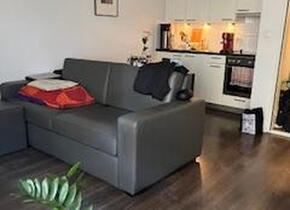 Sublet Furnished Studio Appartment from 06 December - 27...