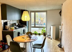 3 Zimmer Tiny Home Wohnung