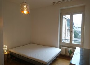 Room in cosy flat (Kreis 4, temporary)