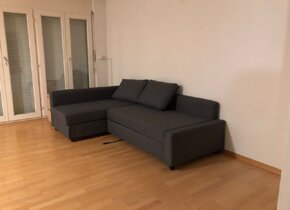 Wohnung 1.5 zimmer in Irchel Uni (temporär)