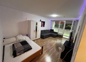 1,5 Zimmer Wohnung zur Untermiete im Ostring