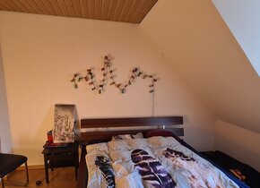 3.5 Zimmer Wohnung in Wiedikon möbliert für 2.5 Monate