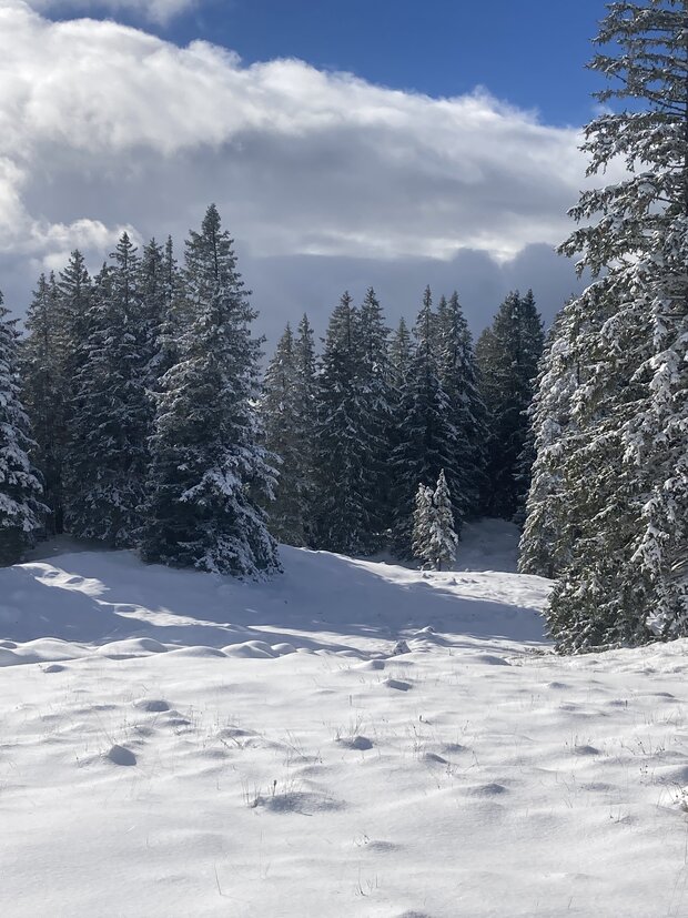 SCHNEESCHUHTOUR MONT SUJET