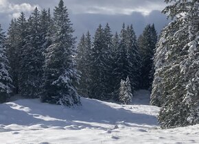 SCHNEESCHUHTOUR MONT SUJET