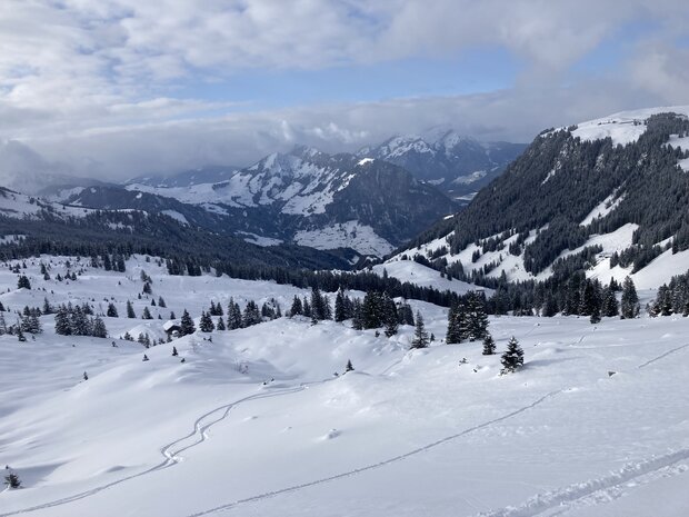 2 TAGE SCHNEESCHUHWANDERN - Brisenhaus NW Niederrickenbach