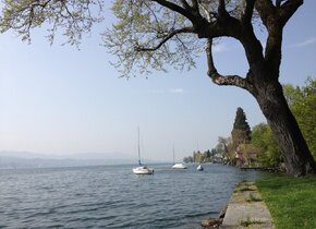 Schönes Zimmer mit Blick auf den See und Badeplatz