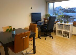 Big, sunny top floor apartment, for plant lovers -...