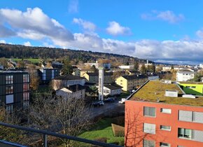 3-Zimmer Wohnung in Schwamendingen (befristet)