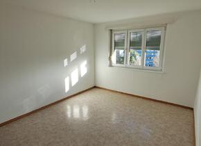 3-Zimmer Wohnung in Schwamendingen (befristet)