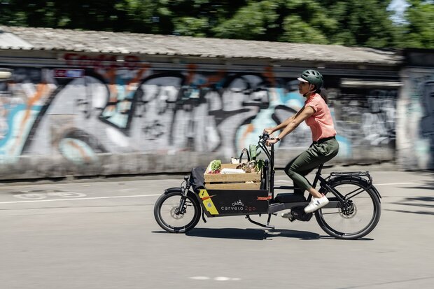 carvelo - Occasionsverkauf Riese und Müller Packster 60 eCargobike