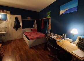 BEFRISTETES Zimmer Langstrasse
TEMPORARY sublet 11 Dec...