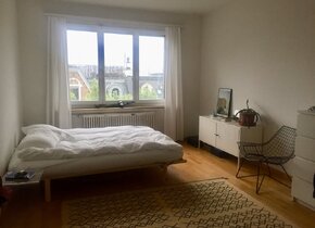 Suche Zimmer in Basel oder Wohnungstausch ZH/BS mitte...