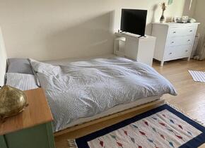 Cozy and beautifully located flatshare in Zurich...