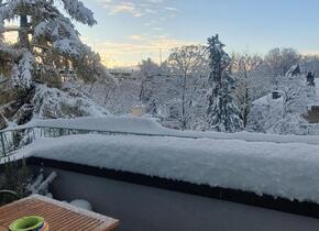 1-Zimmerwohnung in Bern mit toller Aussicht 
(befristet...