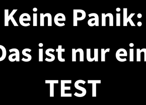 Das ist ein Ron Orp Test Inserat