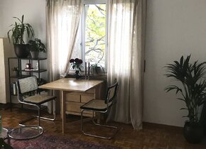 Untermieter gesucht für zentrale 2,5-Zimmer-Wohnung...