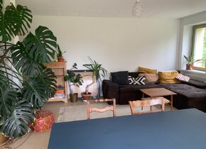 WG-Zimmer in Genossenschaft, Februar – August, mit...