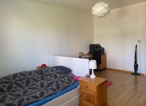 Nähe Triemli / 2.5 Zimmer Wohnung /
Untermieter Gesucht...