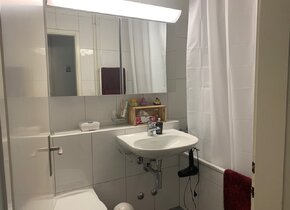 Nähe Triemli / 2.5 Zimmer Wohnung /
Untermieter Gesucht...