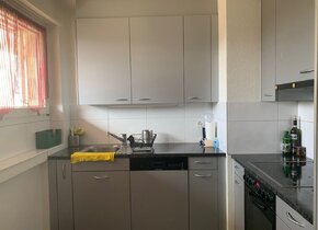 Nähe Triemli / 2.5 Zimmer Wohnung /
Untermieter Gesucht...