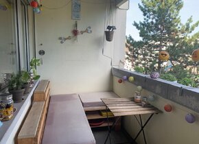 Nähe Triemli / 2.5 Zimmer Wohnung /
Untermieter Gesucht...