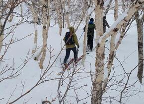 Suche Reisebuddy für Skitouren und Freeride in Japan...