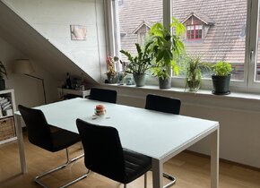 3 ½ Zimmer-Wohnung (möbliert) in Greifensee mieten...