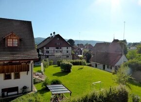 3 ½ Zimmer-Wohnung (möbliert) in Greifensee mieten...