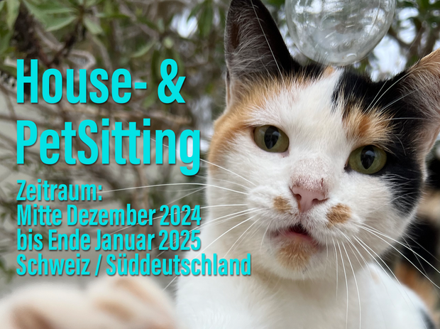 Biete Housesitting zwischen Mitte Dezember und Ende...